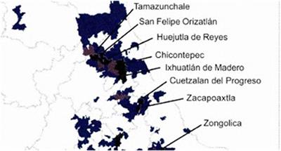 Music Community, Improvisation, and Social Technologies in COVID-Era Música Huasteca